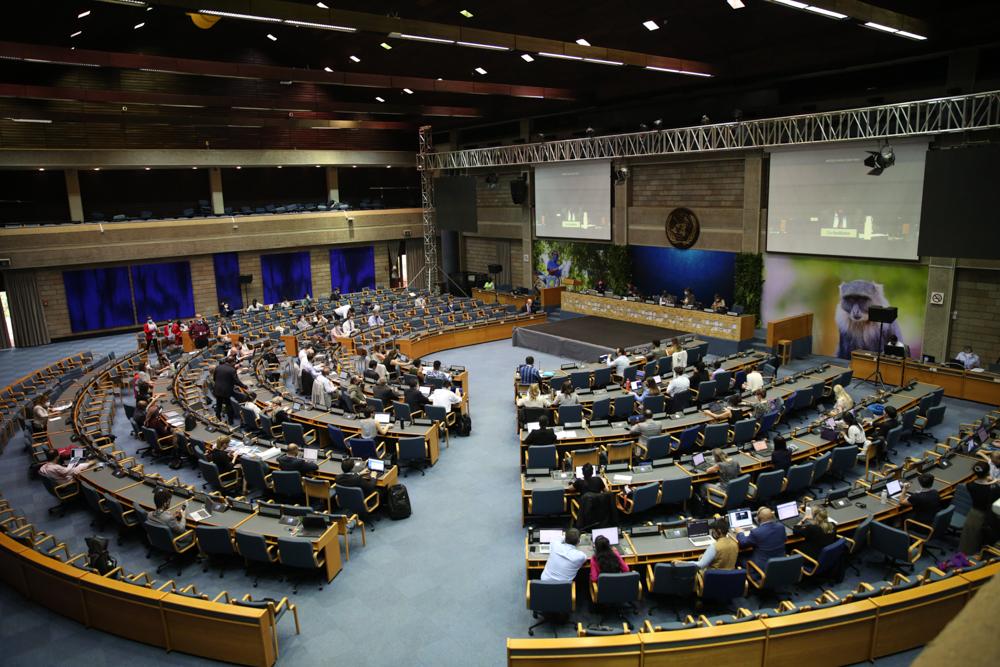Asamblea de las Naciones Unidas